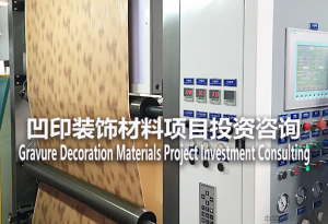 装饰 凹印装饰材料项目投资咨询